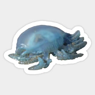 Blue Jellyfish on the Beach Sticker